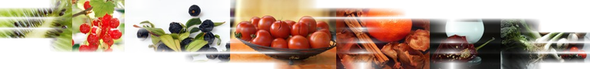 Fruechte,Ernährungsberatung Augsburg,Kiwi,Olive, Tomate,Mandarine, Vanille, Gemuese, Dr. Karin Mante Ernährungsberater