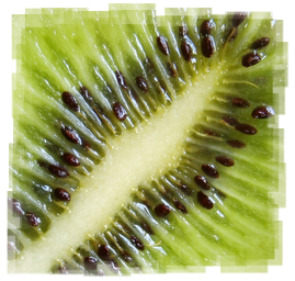 Kiwi, eine gesunde Frucht fuer eine gesunde Ernaehrung